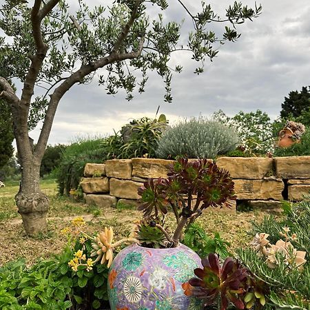 Istrian Green House Порторож Экстерьер фото