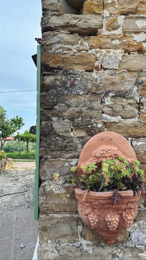 Istrian Green House Порторож Экстерьер фото