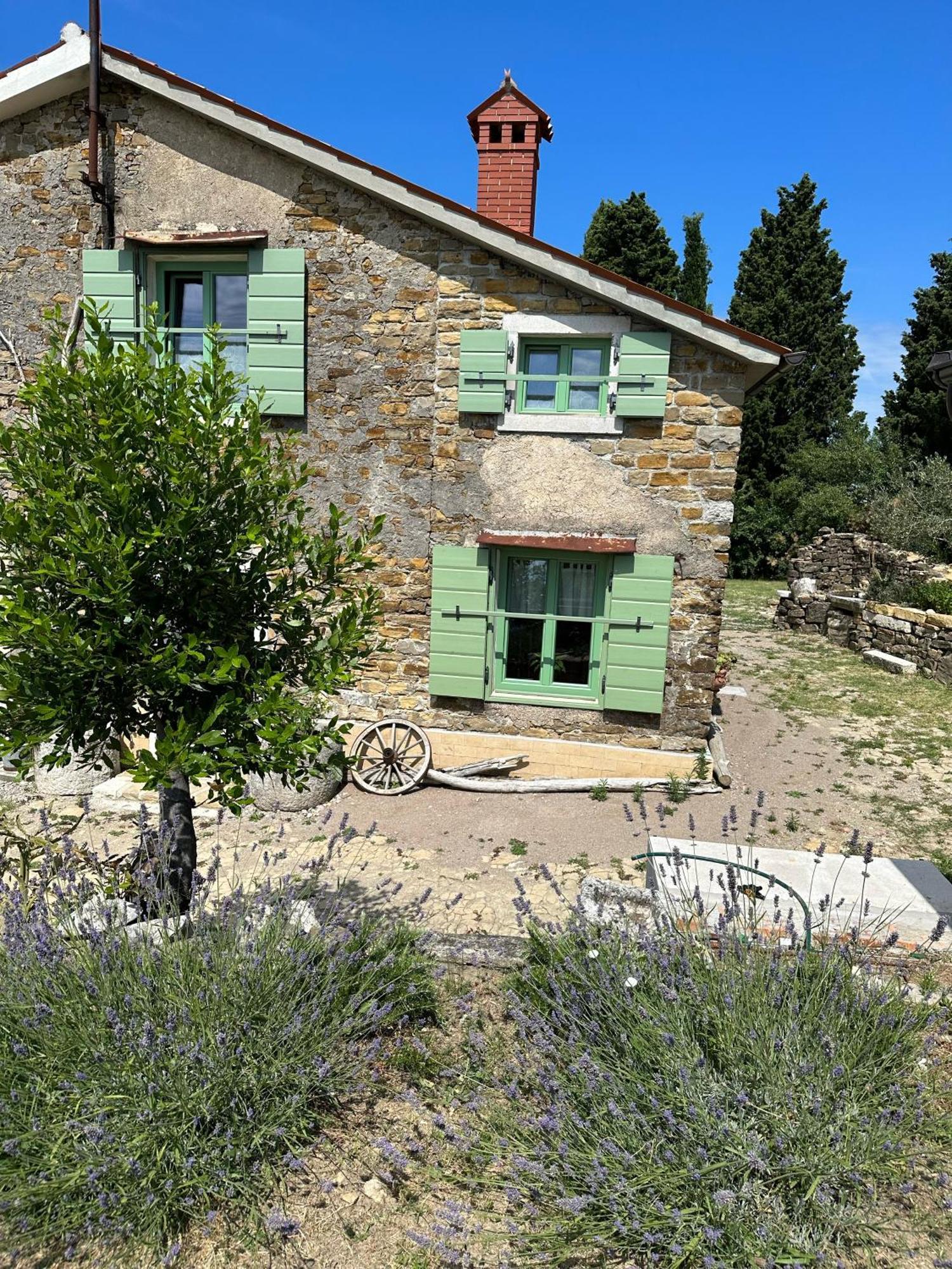 Istrian Green House Порторож Экстерьер фото